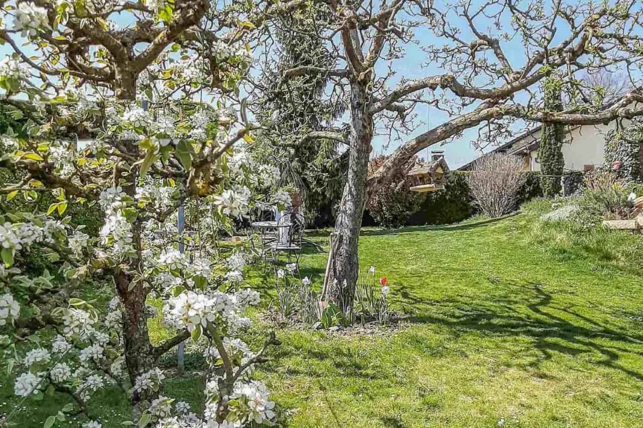Ferienwohnungen Am Hasenweg Ruhstorf an der Rott Bagian luar foto